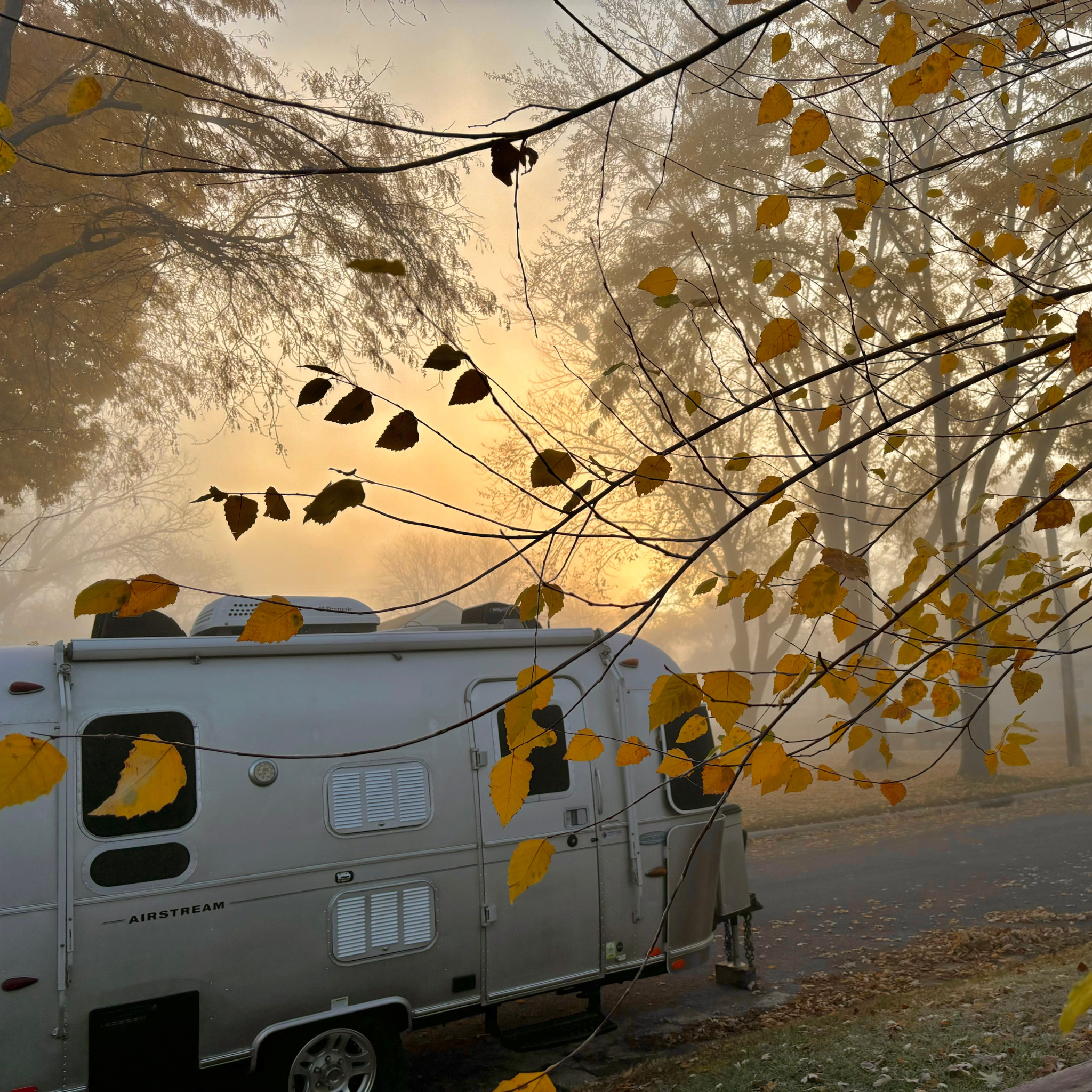 camper in the mist2048 px